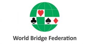Logo Bridge Dunia