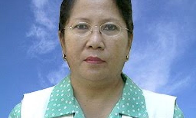Dewi Irawati, DR, Ketua DPP PPNI