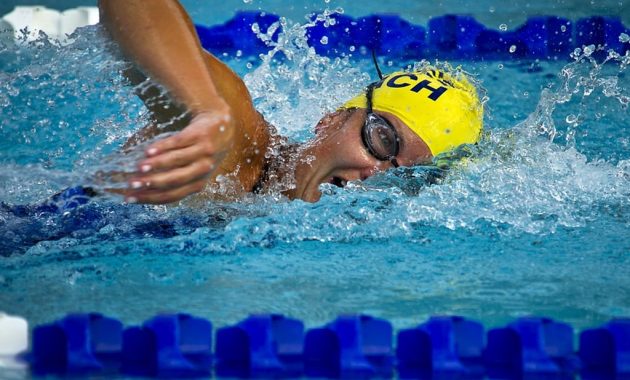 Definisi organisasi renang internasional