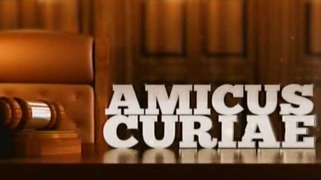 Amicus Curiae Definisi