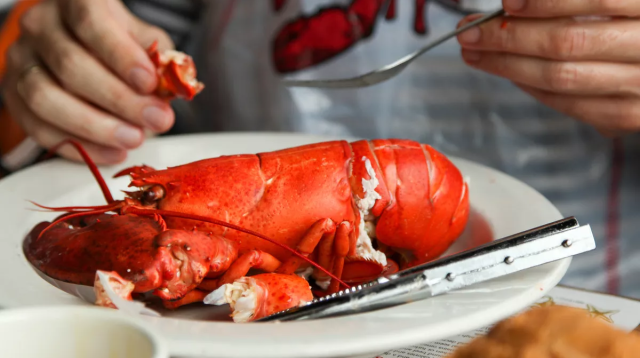 Apa saja nma ilmiah dari jenis lobster